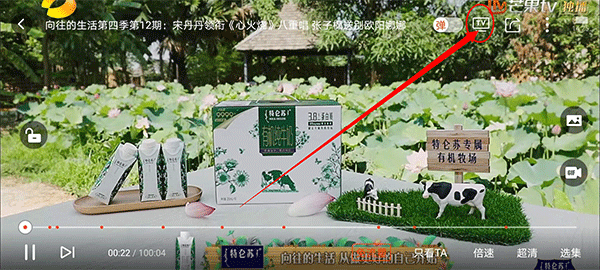 Bind免费  手机版