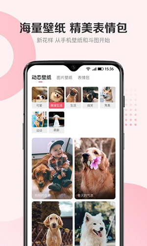 68宠物截图2