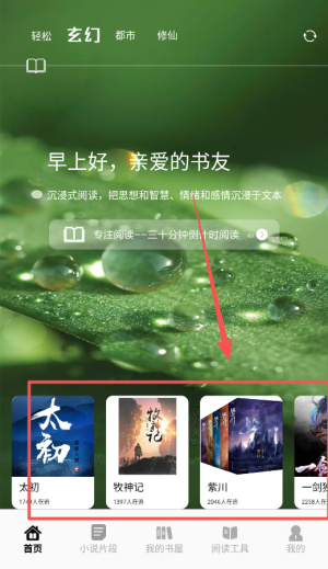 追书大师轻享版