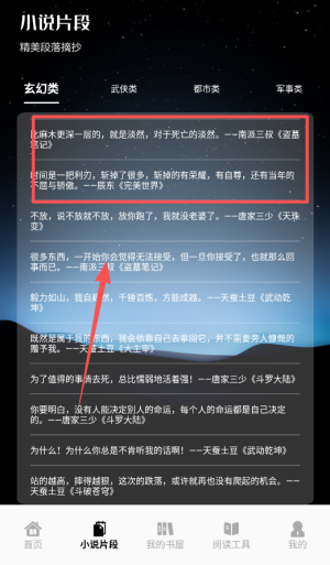 追书大师轻享版