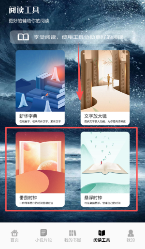 追书大师轻享版