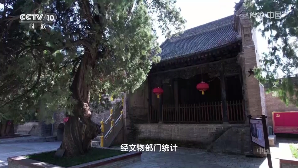 魄狼TV手机版截图2