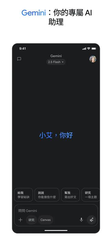 gemini截图2