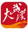 大武汉
