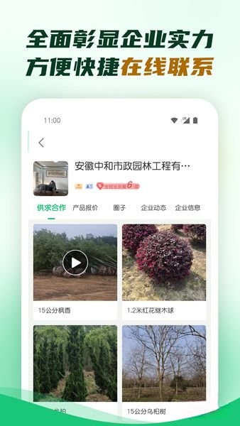 园林