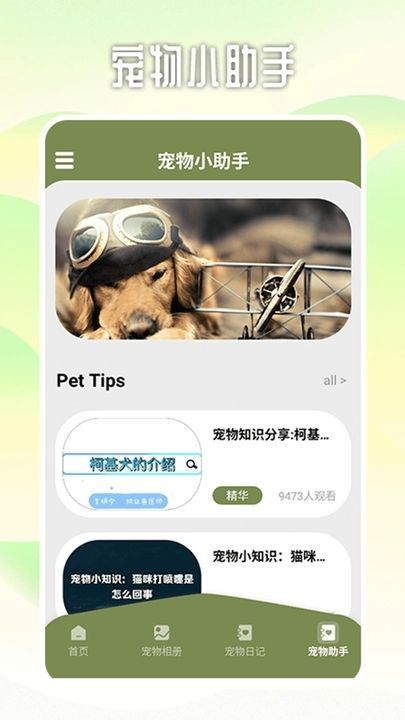 爱游猫助手截图0