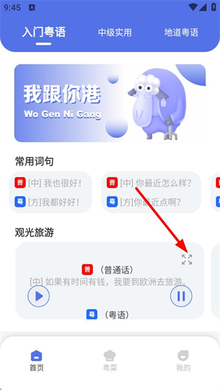 粤语字典