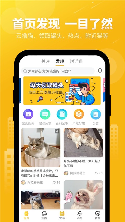 友猫截图3
