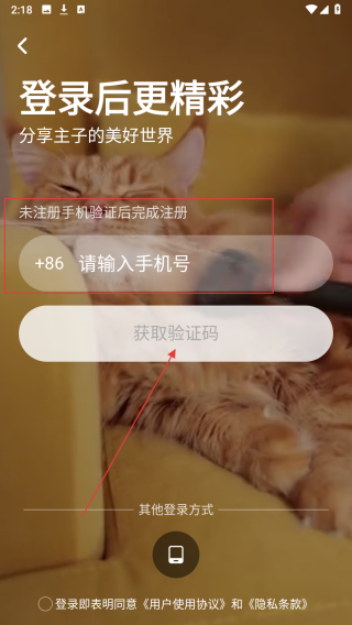 友猫