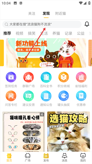 友猫