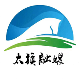 魅力太旗手机版