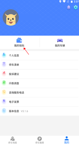 武汉停车手机版
