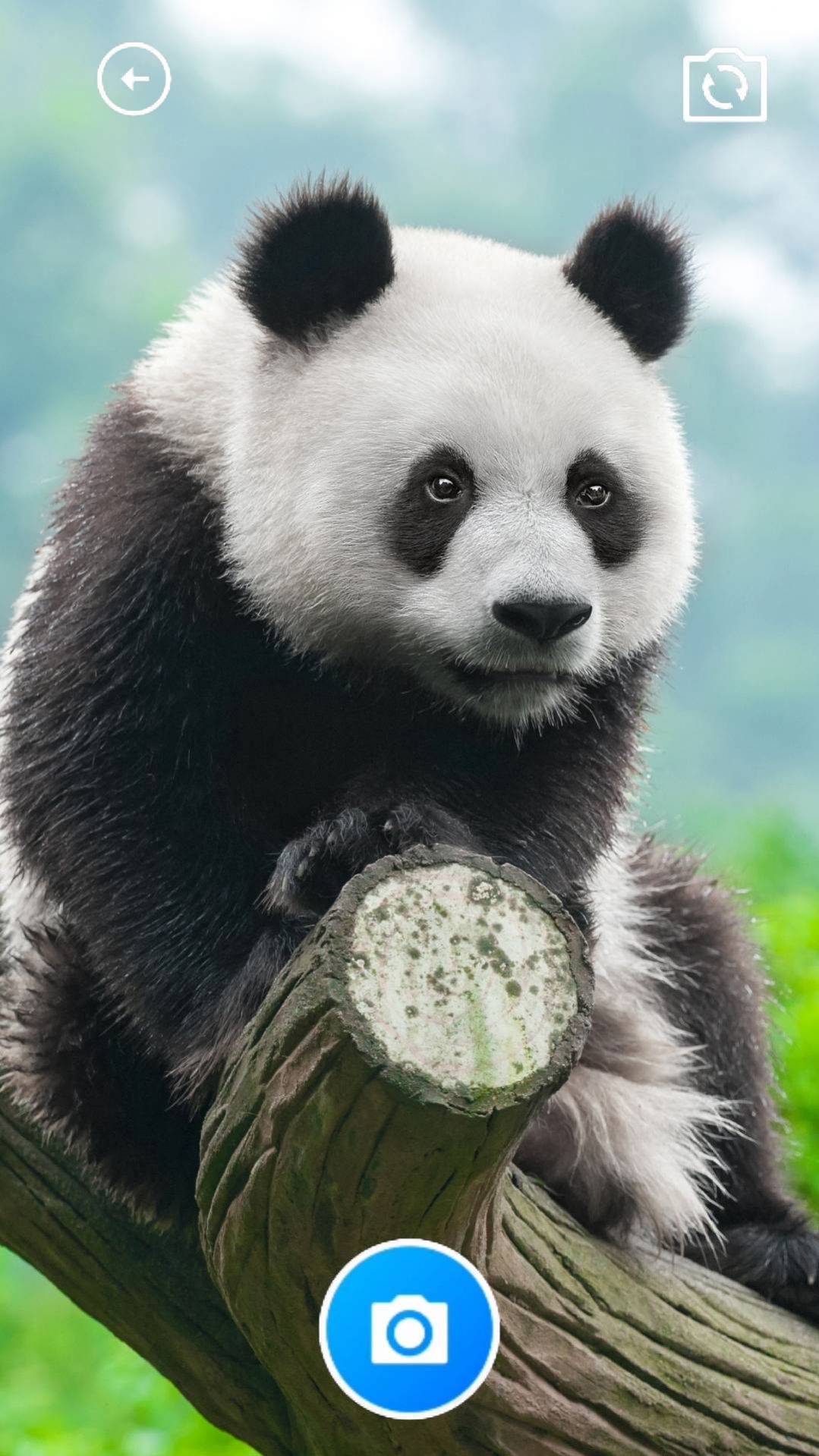 糯米助手截图3