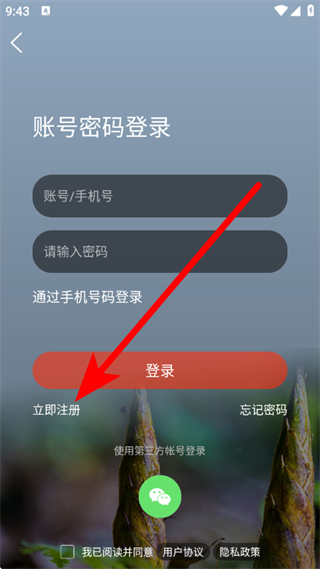 南川方竹论坛