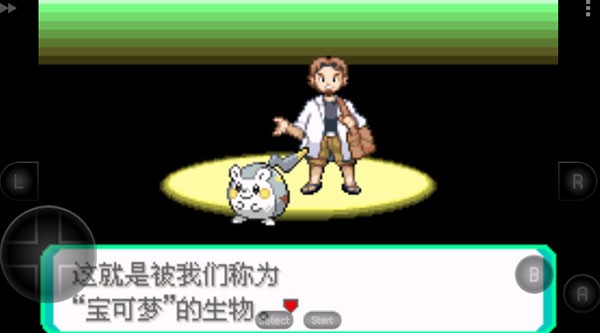 口袋妖怪究极绿宝石5.5截图0