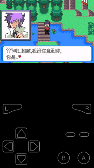 口袋妖怪决心汉化版