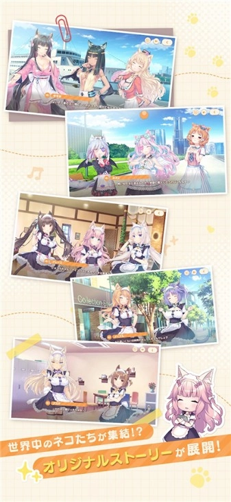 猫娘乐园世界连结国际服