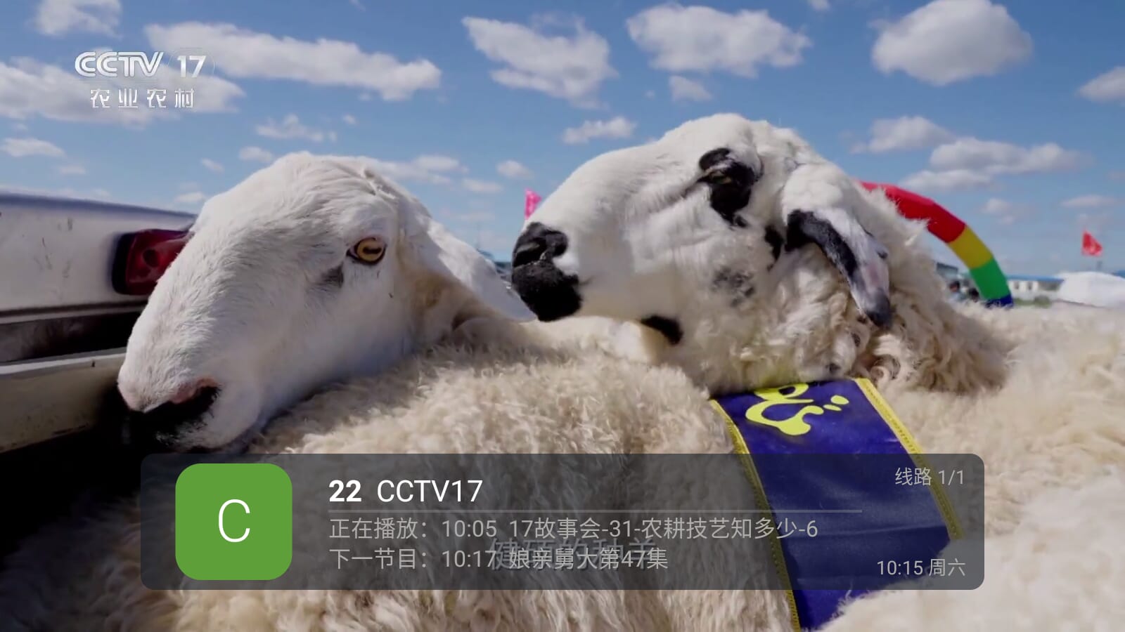 环边直播截图2