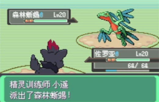 口袋妖怪漆黑的魅影Dp版截图1