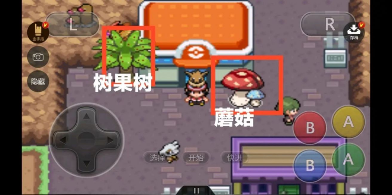 口袋妖怪剑盾10.2金手指悟饭游戏厅截图0