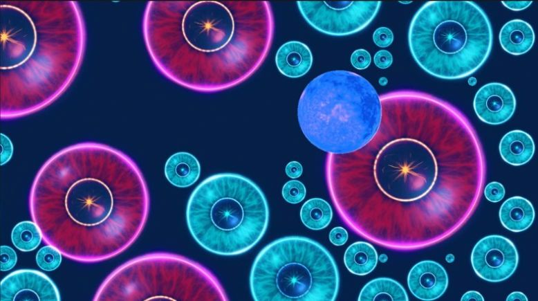 流浪吧星球游戏正版截图1