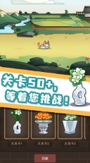 数织画花游戏截图2
