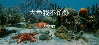 大鱼我不怕你游戏手机版