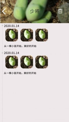 多肉花草日记截图2