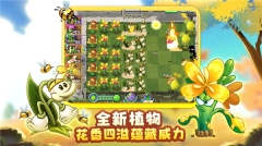 植物大战僵尸随机植物版截图3
