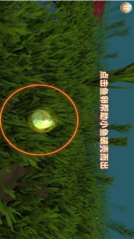 动物吞噬进化截图0