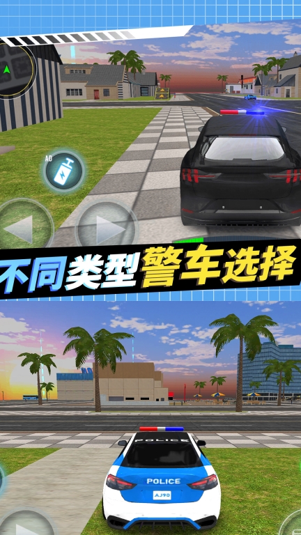 警察抓捕行动截图1