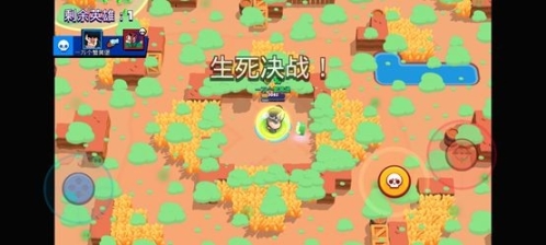 荒野乱斗