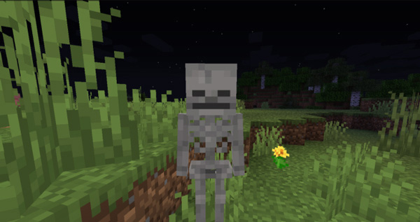 minecraft国际版1.21版本