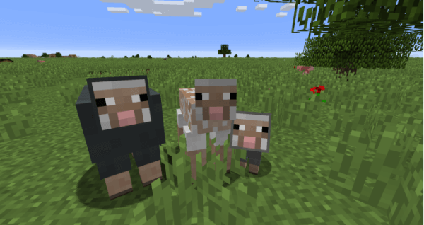 minecraft国际版1.21版本