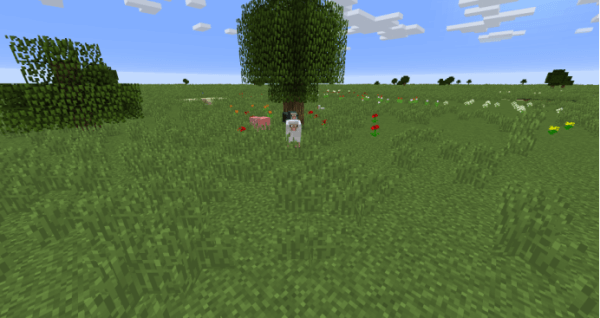 minecraft国际版1.21版本