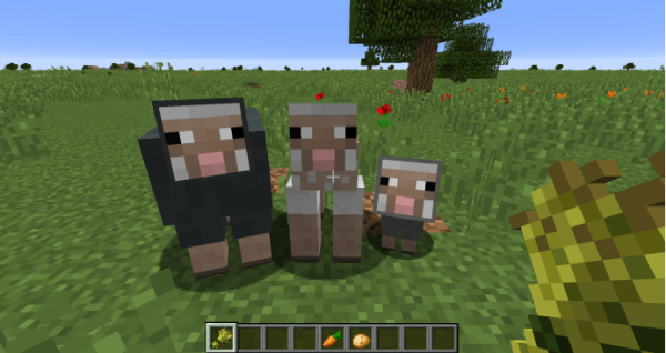 minecraft国际版1.21版本