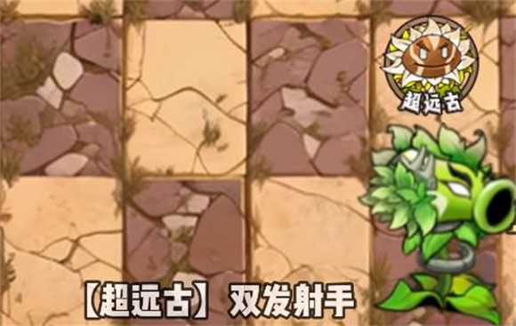 植物大战僵尸神奇植物