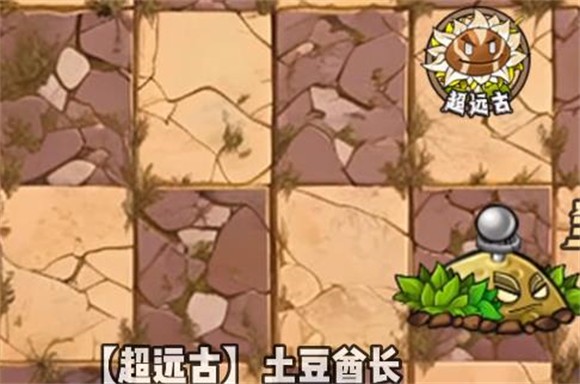植物大战僵尸神奇植物