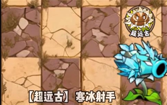 植物大战僵尸神奇植物