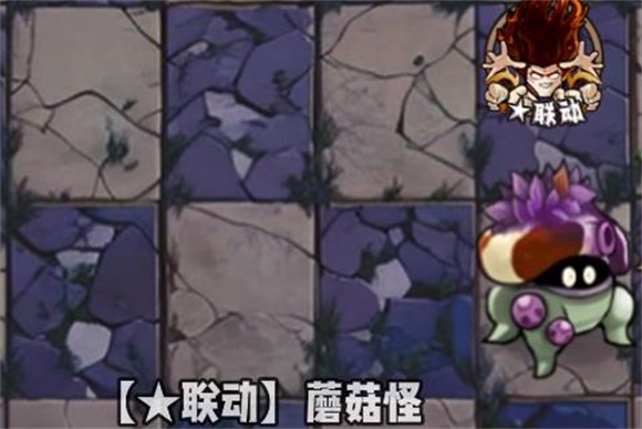 植物大战僵尸神奇植物