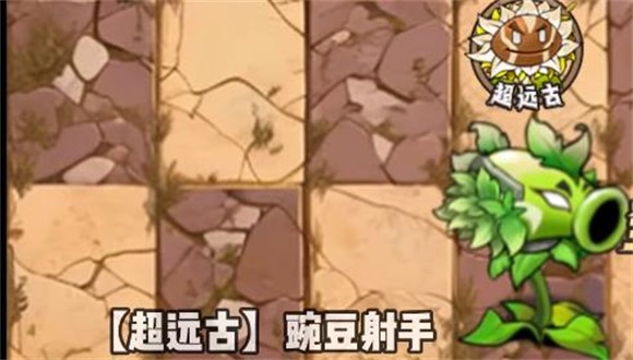 植物大战僵尸神奇植物