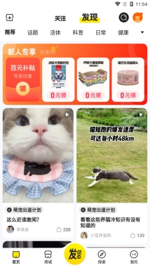 宠胖胖超级malll截图3