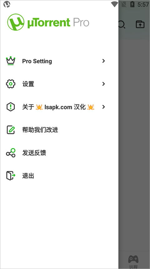 utorrent pro截图1