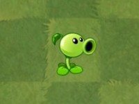 plantsvszombies国际版