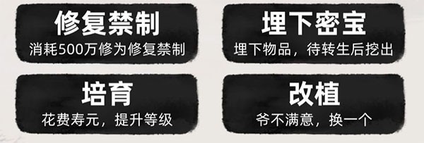不一样修仙2