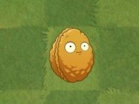 plantsvszombies国际版