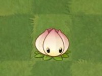 plantsvszombies国际版