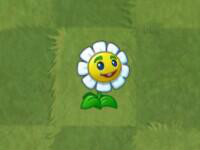 plantsvszombies国际版