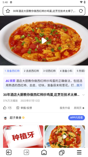 TT浏览器