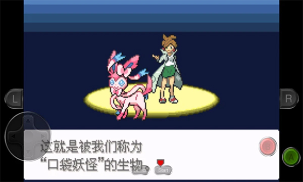口袋妖怪永恒之沫3.0截图3